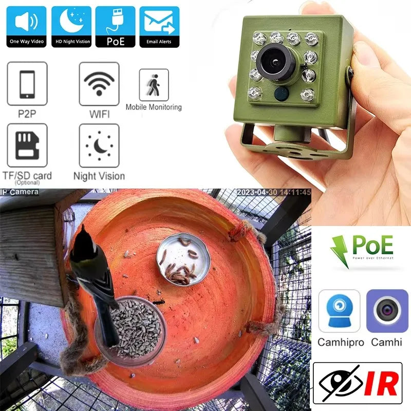 Camhi Bird Conservation Mini Wireless POE Wifi Bird Box Camera 1920P 1080P Night Vision Network Pet Nest Audio CMOS Memory Card